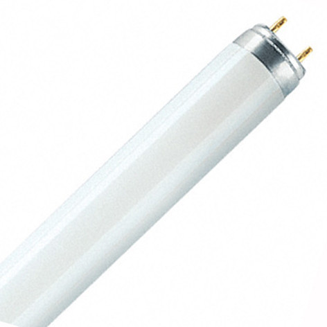 Tube fluo L 18 W - 12/954 - 018256 - Osram